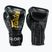 Fairtex Glory Kickboxing Competition Тренувальні боксерські рукавички чорні/сріблясті