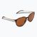 Окуляри сонцезахисні Oakley Sielo polished brown tortoise/prizm bronze polar
