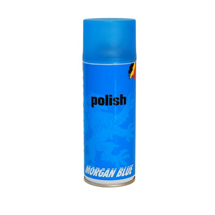 Захисний засіб Morgan Blue Polish spray AR00013 2