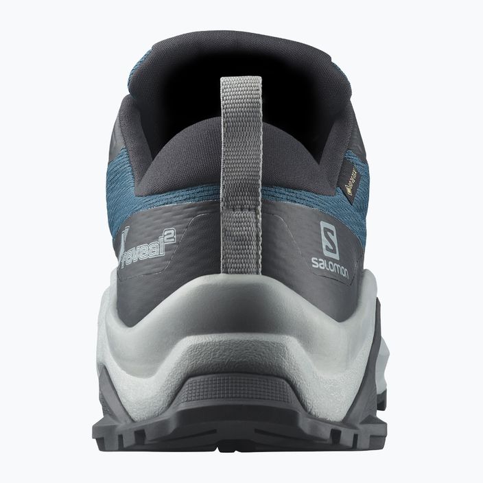 Взуття туристичне чоловіче Salomon X Reveal 2 GTX блакитне L41623700 12