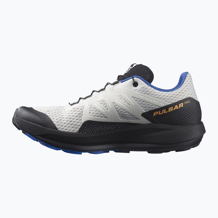 Кросівки для бігу чоловічі Salomon Pulsar Trail lunroc/black/dazzling 12