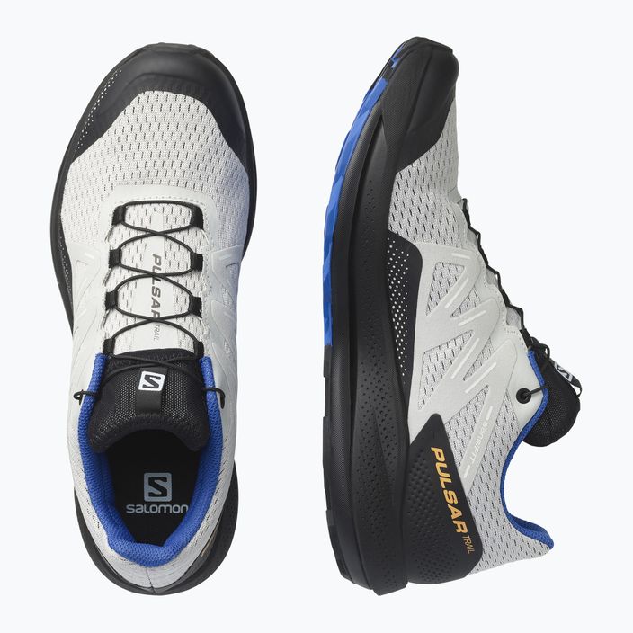 Кросівки для бігу чоловічі Salomon Pulsar Trail lunroc/black/dazzling 14