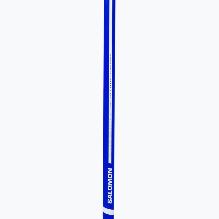 Палиці лижні Salomon X 08 блакитні L47022400 5