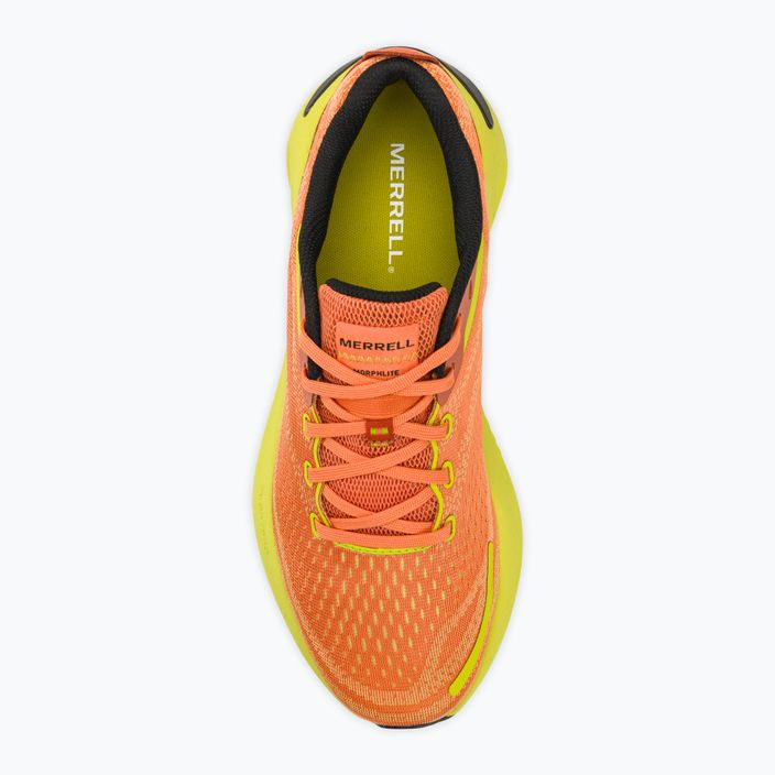 Чоловічі бігові кросівки Merrell Morphlite melon/hiviz 5