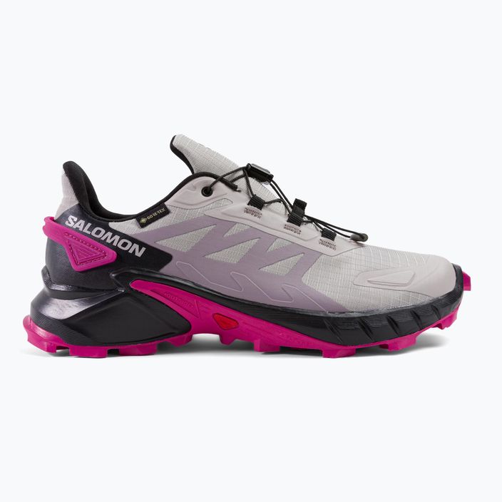 Кросівки для бігу жіночі Salomon Supercross 4 GTX сірі L41735500 2
