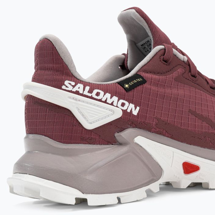 Кросівки для бігу жіночі Salomon Alphacross 4 GTX wild ginger/ashe 10
