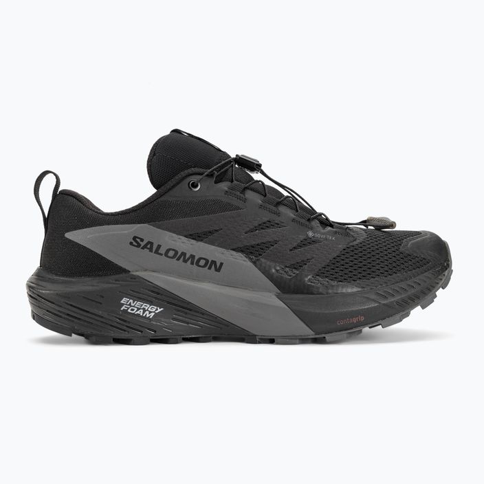 Кросівки для бігу чоловічі Salomon Sense Ride 5 GTX black/magnet/black 2