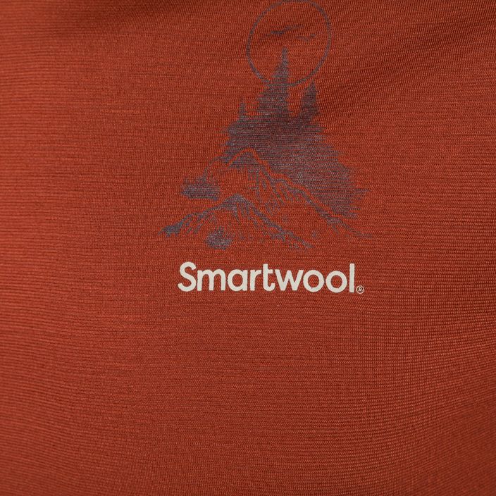 Футболка трекінгова чоловіча Smartwool Wilderness Summit Graphic Tee коричнева SW016673J33 6