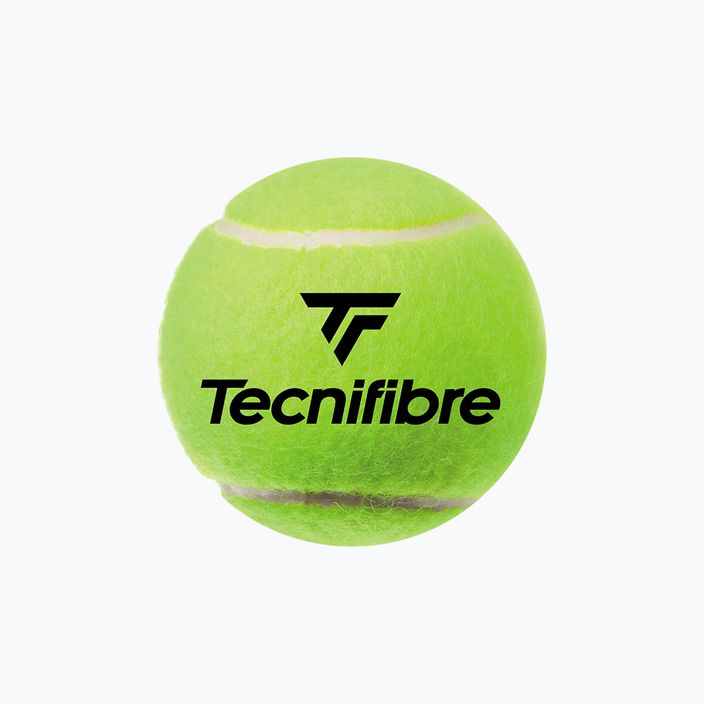 Тенісні м'ячі Tecnifibre Club Pet 4 шт. жовті 60CLUB364N 2