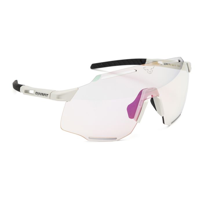 Сонцезахисні окуляри DYNAFIT Alpine Evo німб / чорні 2