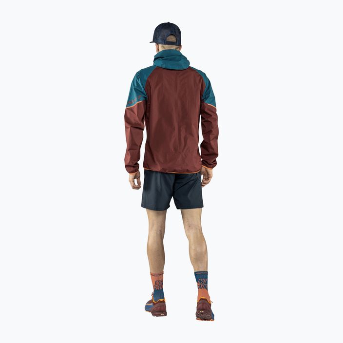 Куртка для бігу чоловіча DYNAFIT Alpine GTX mallard blue 2
