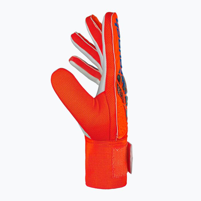 Воротарські рукавиці Reusch Attrakt Starter Solid яскраво-червоні/майбутнє сині 4
