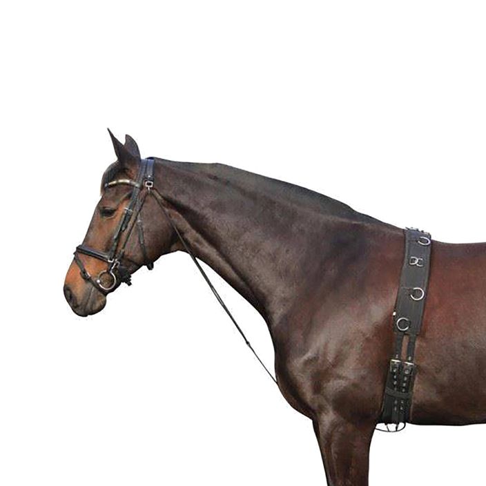 Шамбон шкіряний для коня York чорний 180202 2