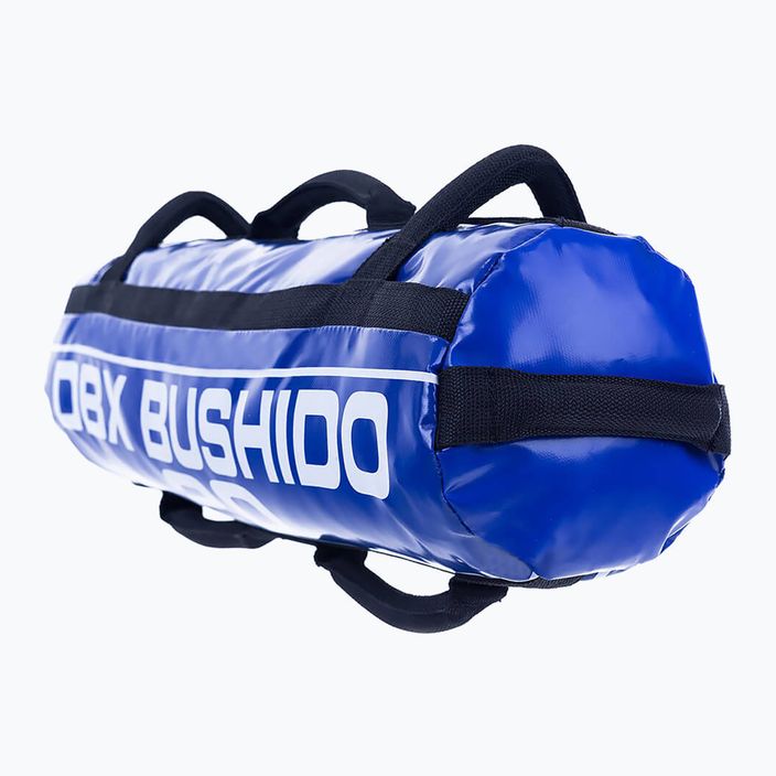 Power Bag DBX BUSHIDO 20 кг блакитний Pb20 3
