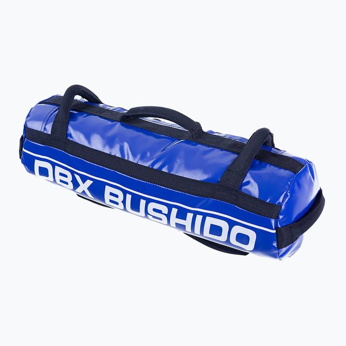 Power Bag DBX BUSHIDO 20 кг блакитний Pb20 4