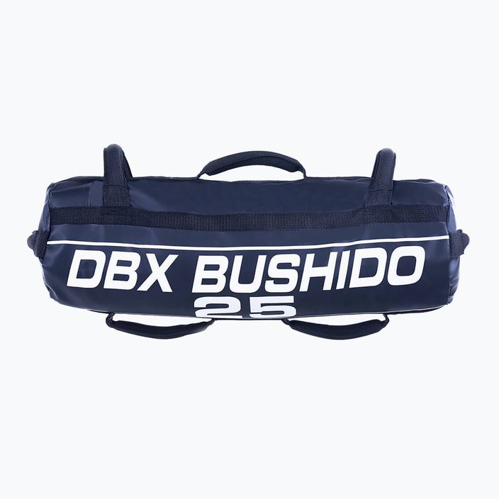 Power Bag DBX BUSHIDO 25 кг синій Pb25