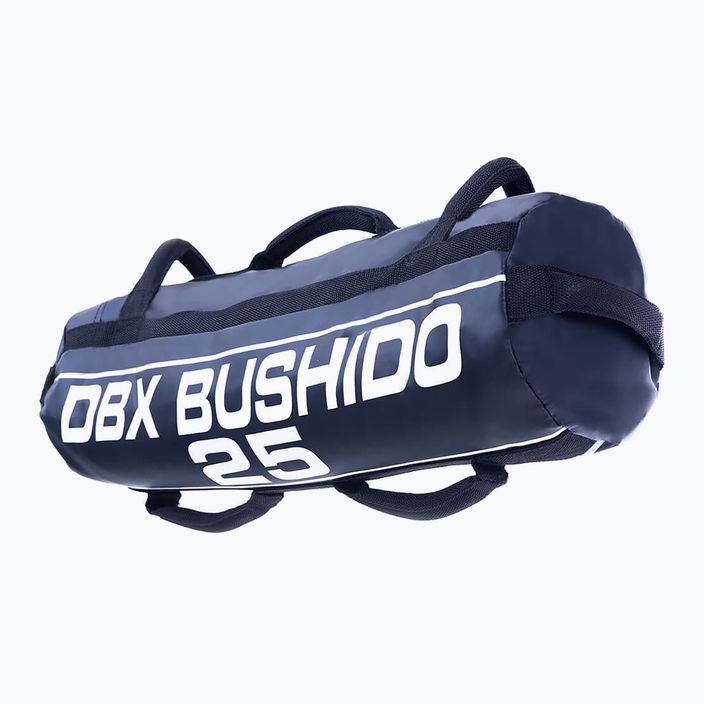 Power Bag DBX BUSHIDO 25 кг синій Pb25 2