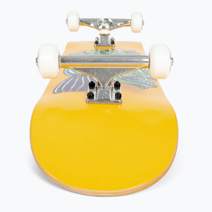 Скейтборд класичний Fish Skateboards Mason Beginner 8.0” 5