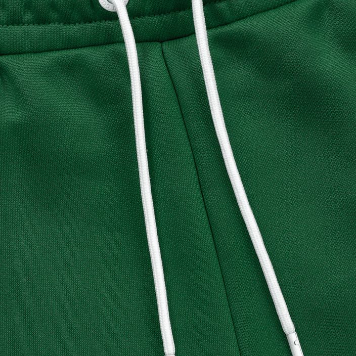 Чоловічі спортивні штани Pitbull West Coast з логотипом на стрічці махрові зелені 4
