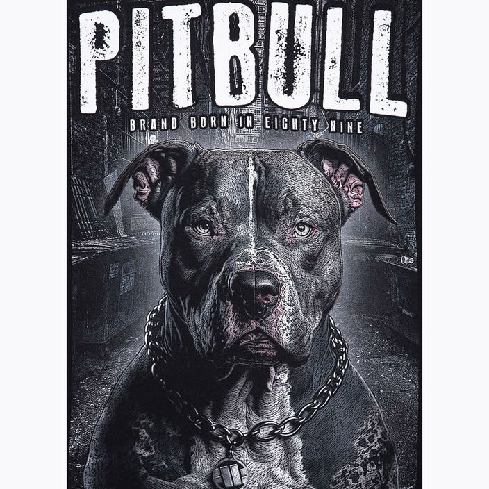 Кофта чоловіча Pitbull West Coast Hooded Street King black 5