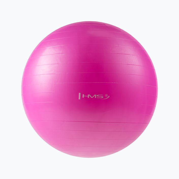 М'яч для гімнастики HMS YB01 рожевий 17-42-101 55 см