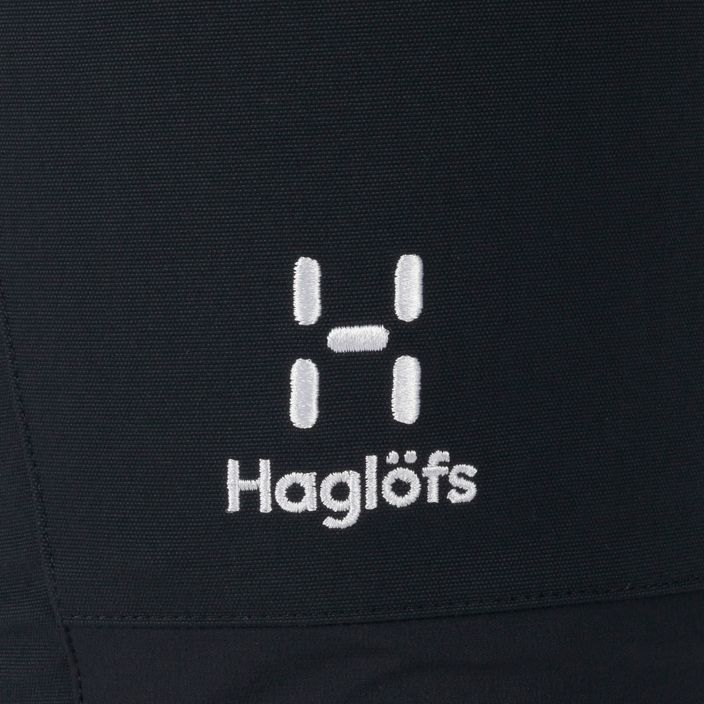Трекінгові штани чоловічі Haglöfs Mid Slim чорні 605212 5