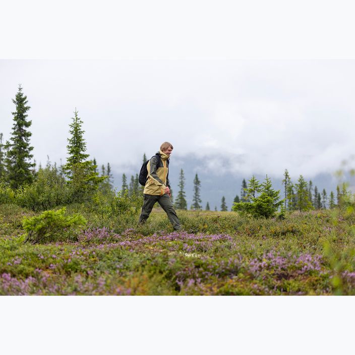 Чоловічий дощовик Abisko Trekking 3L з соснового дерева золотистий сіно/моховий зелений 12