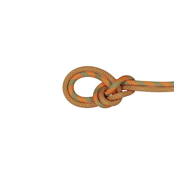 Мотузка для скелелазіння Mammut 9.5 Crag Dry помаранчева 2