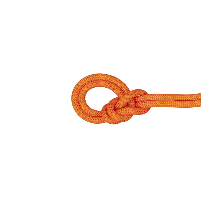 Мотузка для скелелазіння Mammut9.8 Crag Dry помаранчева 2