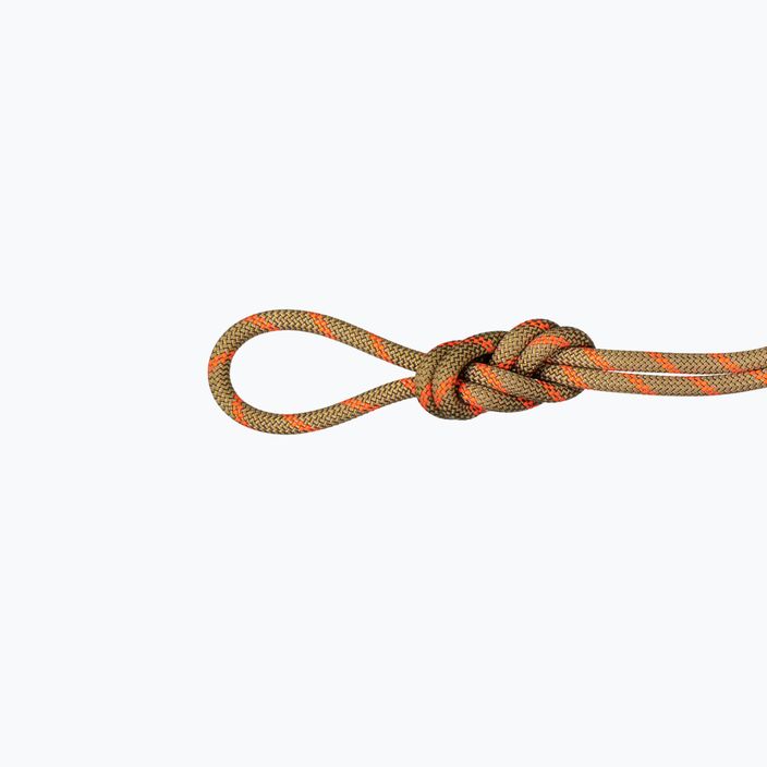Мотузка для скелелазіння Mammut 8.0 Alpine Dry помаранчева 2010-04350-11240-1060