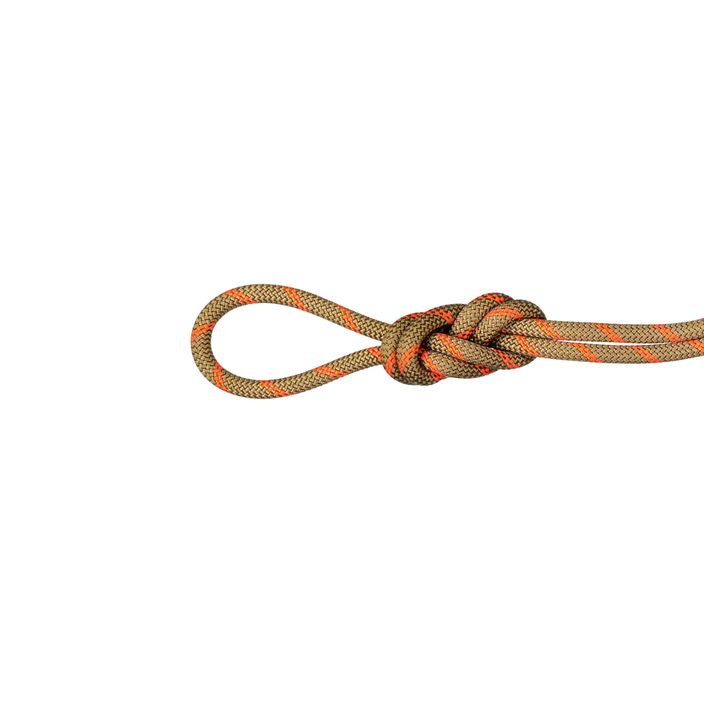 Мотузка для скелелазіння Mammut 8.0 Alpine Dry помаранчева 2010-04350-11240-1060 2