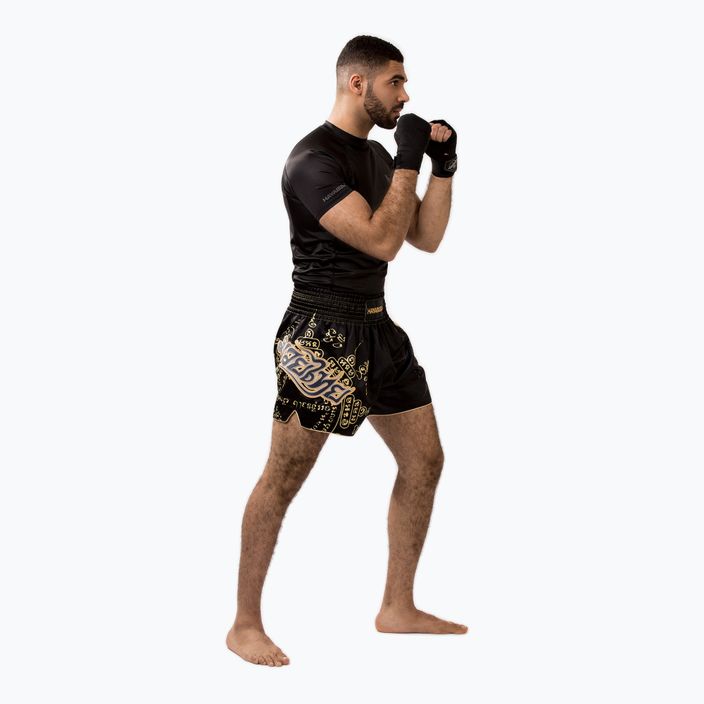 Шорти для тренувань чоловічі Hayabusa Falcon Muay Thai black 4