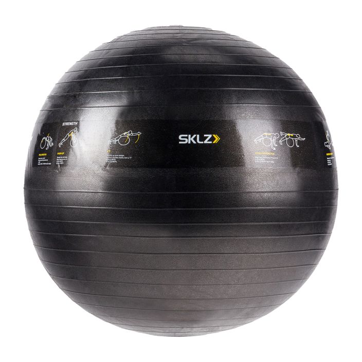 М'яч для гімнастики SKLZ TRAINERball Sport Performance чорний 0509 65 см 2