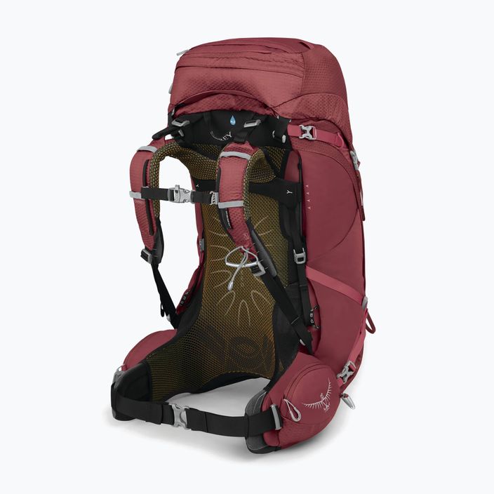 Жіночий трекінговий рюкзак Osprey Aura AG 50 л ягідний сорбет червоний 3