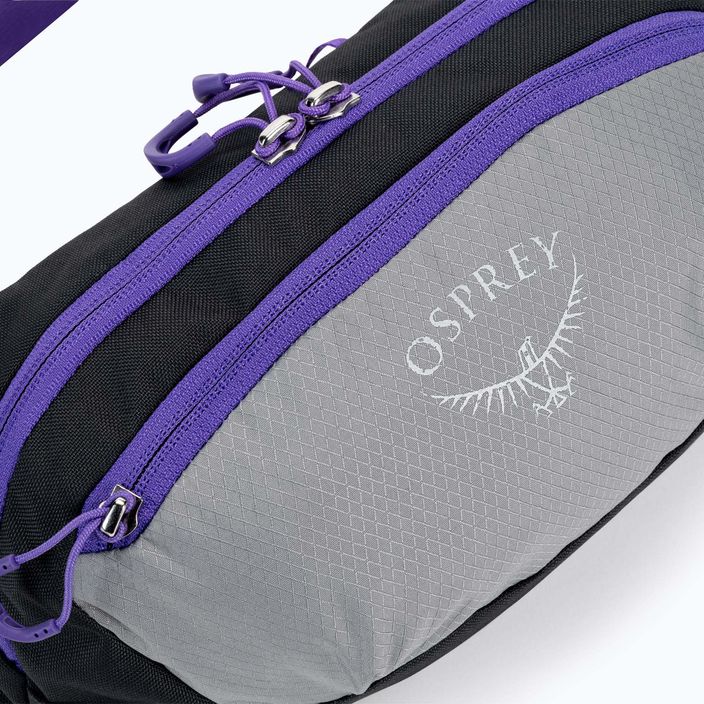 Барсетка Osprey Daylite Waist 2L сіро-фіолетова 10004202 4