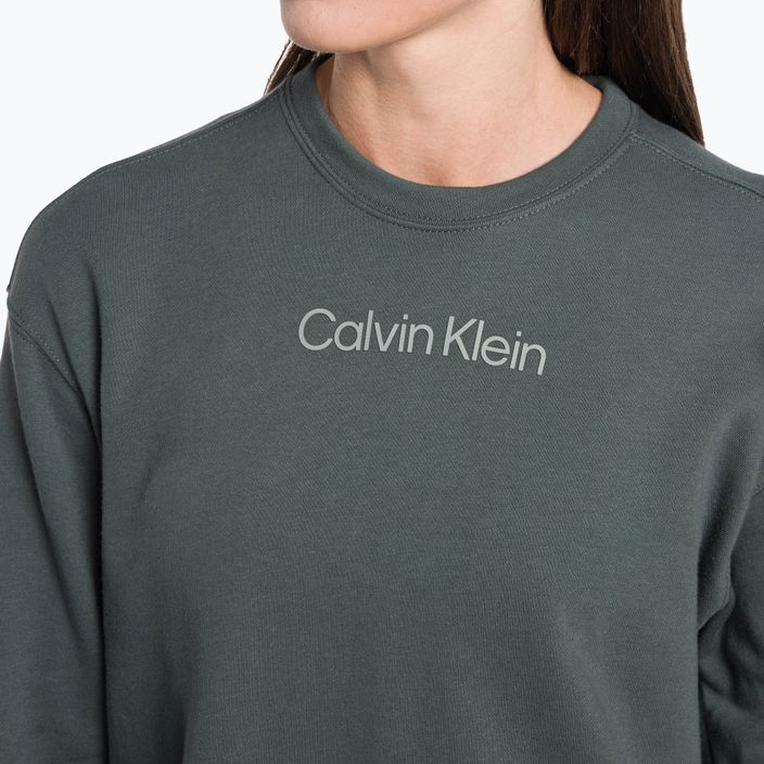 Кофта жіноча Calvin Klein Pullover LLZ urban chic 4