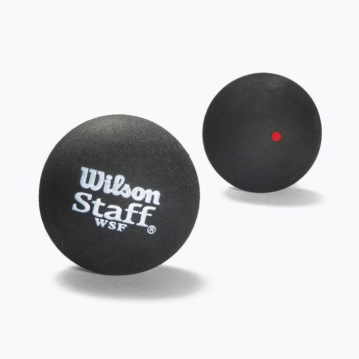 М'ячі для сквошу Wilson Staff Squash Ball Red Dot 2 шт. чорні WRT617700+ 2