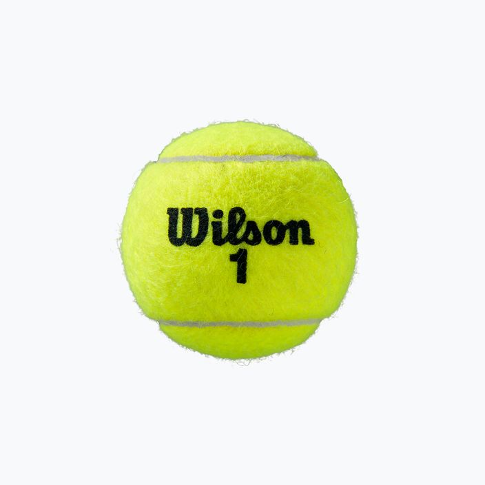 Тенісні м'ячі Wilson Roland Garros Clay Ct 4 шт. жовті WRT115000 3