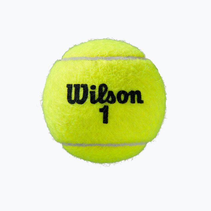 М'ячі тенісні Wilson Roland Garros All Ct 4 Ball 2Pk 8 шт. жовті WRT116402 4