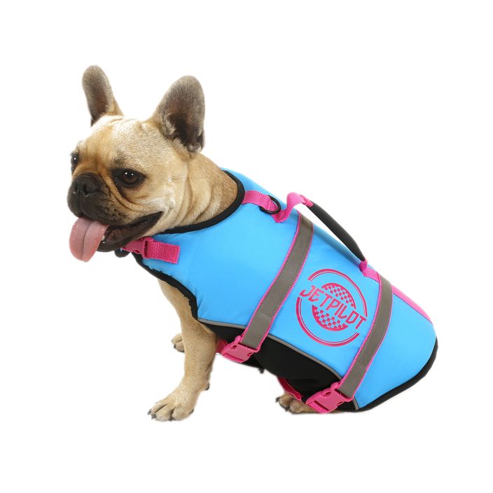 Жилет страхувальний для собак Jetpilot Dog Vest блакитний 1912904 2