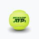 Тенісні м'ячі Dunlop ATP 4 шт. жовті 601314 3