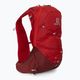 Рюкзак туристичний Salomon XT 10 l червоний LC1518500 2