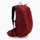 Рюкзак туристичний Salomon Trailblazer 20 l червоний LC1520300 3