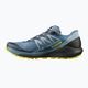 Кросівки для бігу чоловічі Salomon Sense Ride 4 блакитні L41210400 13