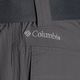 Трекінгові штани чоловічі  Columbia Silver Ridge II Converti city grey 10