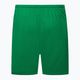 Шорти футбольні чоловічі Nike Dry-Fit Park III зелені BV6855-302 2