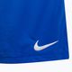Шорти для тренувань чоловічі Nike Dri-Fit Park III блакитні BV6855-463 3