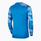 Кофта футбольна чоловіча Nike Dri-Fit Park IV блакитна CJ6066-463 2