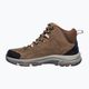 Взуття трекінгове жіноче SKECHERS Trego Alpine Trail brown/natural 9