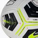 Футбольний м'яч Nike Academy Team CU8047-100 Розмір 3 3